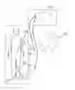 Fig. 01 - SURGICAL NAVIGATION APPARATUS AND METHOD FOR SAME