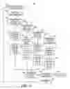 Fig. 13 - METHOD AND APPARATUS FOR DETECTING AND DISCRIMINATING TACHYCARDIA