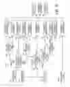 Fig. 20 - Method and apparatus for detecting and discriminating tachycardia