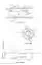 Fig. 28 - Minimally invasive determination of collateral ventilation in lungs