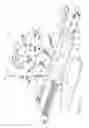 Fig. 04 - Method of caregiver assisting a person in need of assisted mobility and belted apparatus with multiple handles