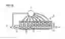 Fig. 16 - Stimulation of penis erection