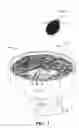 Fig. 02 - Fabrication of a vascular system using sacrificial structures