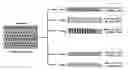 Fig. 01 - Method for optimizing value of wood products dried in a drying process