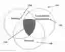 Fig. 01 - Software platform