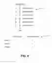 Fig. 07 - DISPLAYING ACTIVE RECENT BIDDERS IN A BIDDING FEE AUCTION