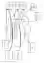 Fig. 06 - METHODS AND APPARATUS FOR A FINANCIAL DOCUMENT CLEARINGHOUSE AND SECURE DELIVERY NETWORK