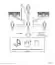 Fig. 02 - METHODS AND APPARATUS FOR A FINANCIAL DOCUMENT CLEARINGHOUSE AND SECURE DELIVERY NETWORK