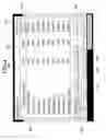 Fig. 05 - Information processing apparatus, file management method, program, and storage medium