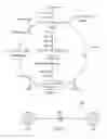 Fig. 02 - System, method and apparatus for assembling and mining life science data