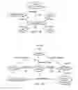 Fig. 09 - System, method and apparatus for assembling and mining life science data