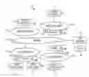 Fig. 01 - Peer to Peer Network