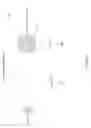Fig. 07 - Multimedia alerting