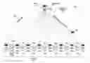 Fig. 01 - Combining multiple hardware networks to achieve low-latency high-bandwidth point-to-point communication