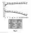 Fig. 04 - Networking system call data division for zero copy operations