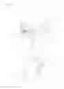 Fig. 07 - Input device