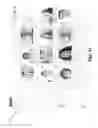 Fig. 12 - MANAGING CONFERENCE SESSIONS VIA A CONFERENCE USER INTERFACE