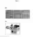 Fig. 07 - Chimeric promoters comprising MYB10 repeat element and methods for regulating plant gene expression