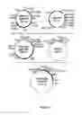 Fig. 06 - Procedure for producing transgenic plants providing high starch content and yield and high amylose/amylopectin balance