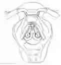 Fig. 01 - Removable safety handle for motorcycle passengers