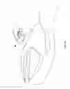 Fig. 12 - Removable safety handle for motorcycle passengers