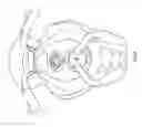Fig. 19 - Removable safety handle for motorcycle passengers