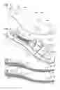 Fig. 04 - Footwear