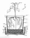 Fig. 01 - METHOD FOR MAINTAINING PLANTS