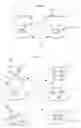 Fig. 06 - CAPSULE FOR PREPARING A BEVERAGE, AND DEVICE
