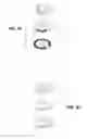 Fig. 08 - Precise critical temperature indicator (and manufacturing methods therefor)