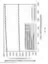 Fig. 167 - TEMPLATE FOR THREE-DIMENSIONAL THIN-FILM SOLAR CELL MANUFACTURING AND METHODS OF USE