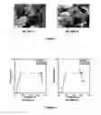 Fig. 02 - WROUGHT MAGNESIUM ALLOY