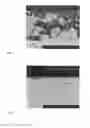 Fig. 06 - Nickel-chromium-alloy