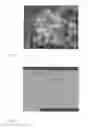 Fig. 08 - Nickel-chromium-alloy