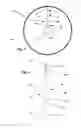 Fig. 03 - Flighting for a conveyor and apparatus for producing such flighting