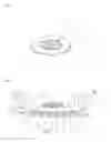 Fig. 06 - Ion sensor