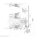 Fig. 07 - IMMERSED MEMBRANE CASSETTE AND METHOD OF OPERATION