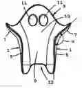 Fig. 01 - SHOEHORN