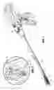 Fig. 02 - Grasping jaw mechanism