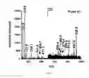 Fig. 07 - Three-dimensional molecular imaging by infrared laser ablation electrospray ionization mass spectrometry
