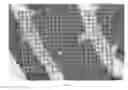 Fig. 09 - Three-dimensional molecular imaging by infrared laser ablation electrospray ionization mass spectrometry