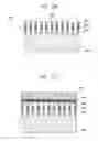 Fig. 09 - Rod type light emitting device and method for fabricating the same