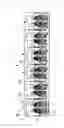 Fig. 02 - Lead Frame and Method of Producing Lead Frame