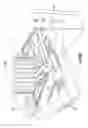 Fig. 43 - Elevator and method for tilting solid image build platform for reducing air entrainment and for build release