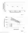 Fig. 06 - COMPOSITE MATERIAL AND METHOD OF PREPARING THE SAME FROM SUBSTANTIALLY UNSORTED WASTE