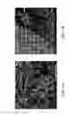 Fig. 09 - COMPOSITE MATERIAL AND METHOD OF PREPARING THE SAME FROM SUBSTANTIALLY UNSORTED WASTE