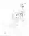 Fig. 02 - ELECTRIC GENERATING DEVICE FOR TRAINING MACHINE