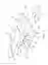 Fig. 05 - Tattoo chair