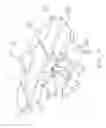 Fig. 06 - Tattoo chair