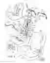 Fig. 02 - Child restraint for vehicle